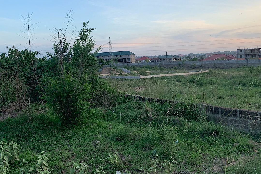 61C75CA3-644A-4881-BE71-DF9E4AFEBEE8